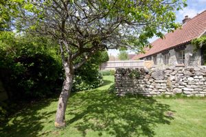 Garden- click for photo gallery
